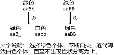 菁優(yōu)網