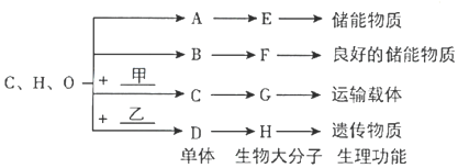 菁優(yōu)網(wǎng)