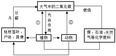 菁優(yōu)網(wǎng)