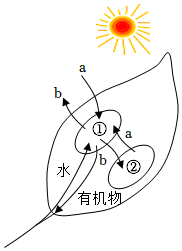 菁優(yōu)網(wǎng)