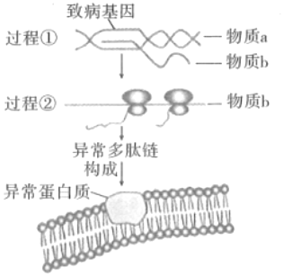 菁優(yōu)網