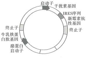 菁優(yōu)網