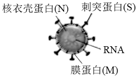 菁優(yōu)網