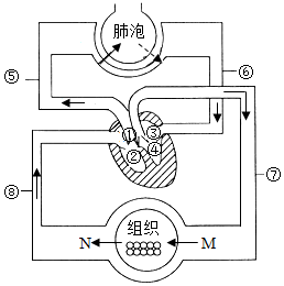 菁優(yōu)網(wǎng)