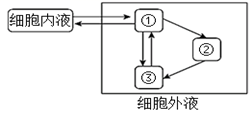 菁優(yōu)網(wǎng)