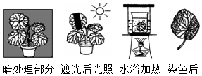 菁優(yōu)網