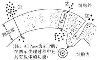 菁優(yōu)網