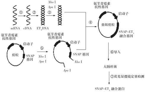 菁優(yōu)網