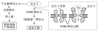 菁優(yōu)網