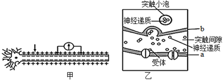 菁優(yōu)網(wǎng)