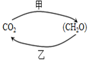 菁優(yōu)網(wǎng)