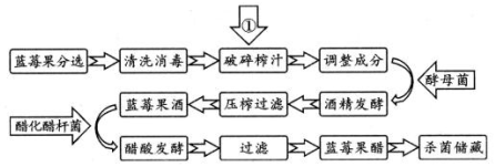 菁優(yōu)網