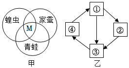 菁優(yōu)網(wǎng)