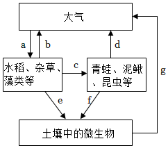 菁優(yōu)網(wǎng)