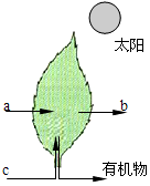 菁優(yōu)網(wǎng)