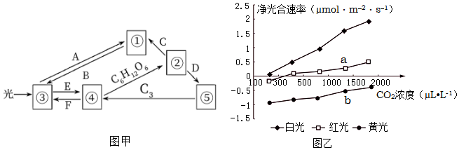 菁優(yōu)網(wǎng)