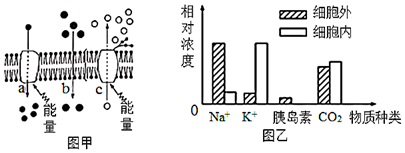 菁優(yōu)網(wǎng)