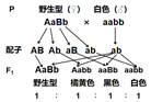 菁優(yōu)網