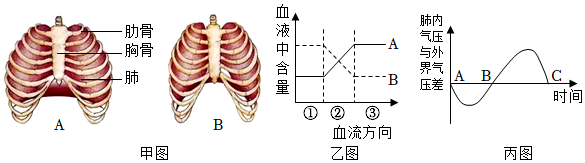 菁優(yōu)網(wǎng)