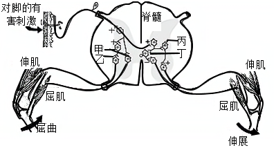 菁優(yōu)網(wǎng)