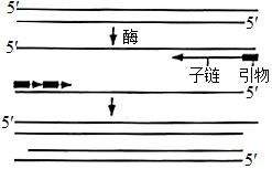 菁優(yōu)網