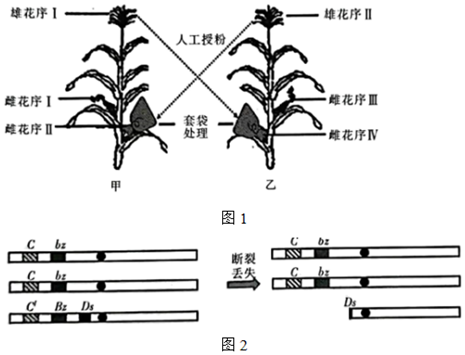 菁優(yōu)網