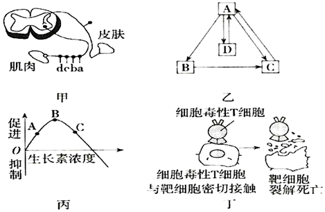 菁優(yōu)網(wǎng)