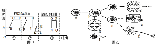 菁優(yōu)網