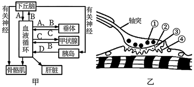 菁優(yōu)網(wǎng)