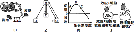 菁優(yōu)網(wǎng)