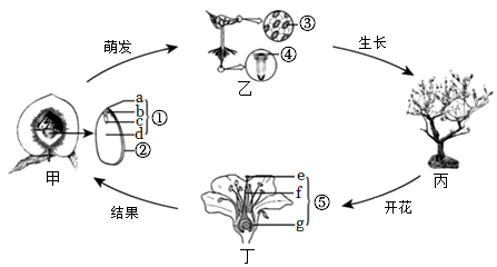 菁優(yōu)網(wǎng)