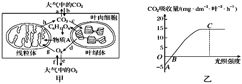 菁優(yōu)網(wǎng)