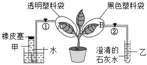 菁優(yōu)網(wǎng)