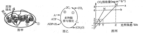 菁優(yōu)網(wǎng)