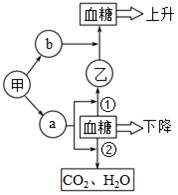 菁優(yōu)網(wǎng)