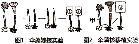 菁優(yōu)網