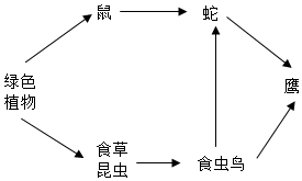 菁優(yōu)網(wǎng)