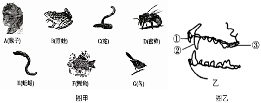 菁優(yōu)網(wǎng)