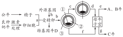 菁優(yōu)網