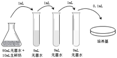 菁優(yōu)網