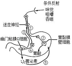 菁優(yōu)網(wǎng)