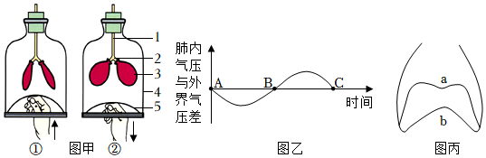 菁優(yōu)網(wǎng)