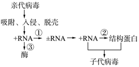 菁優(yōu)網