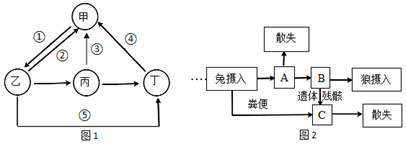 菁優(yōu)網(wǎng)