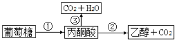 菁優(yōu)網(wǎng)