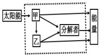 菁優(yōu)網(wǎng)