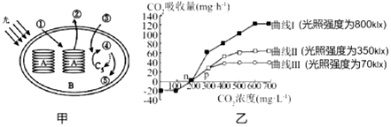 菁優(yōu)網(wǎng)