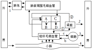 菁優(yōu)網(wǎng)