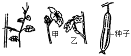 菁優(yōu)網(wǎng)