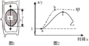 菁優(yōu)網(wǎng)